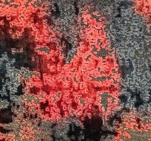 Damask 03